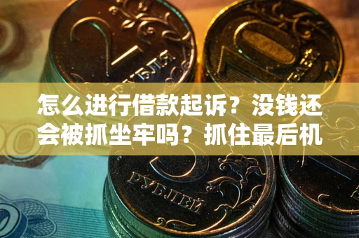 济南怎么进行借款起诉？没钱还会被抓坐牢吗？抓住最后机会！