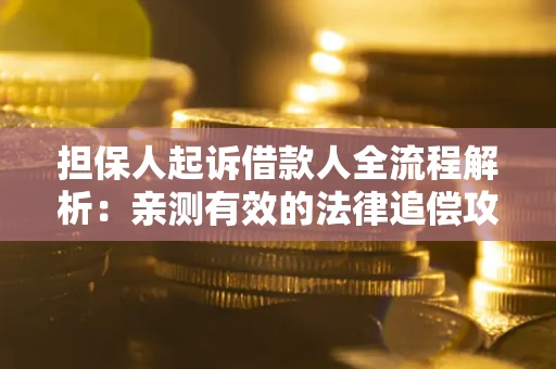 济南担保人起诉借款人全流程解析：亲测有效的法律追偿攻略