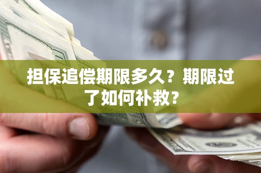 济南担保追偿期限多久？期限过了如何补救？